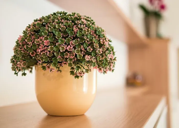 Snjezana דירה מאלי לוסיניי