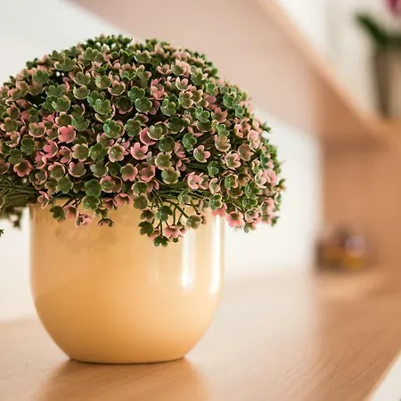 Snjezana Apartamento Mali Lošinj