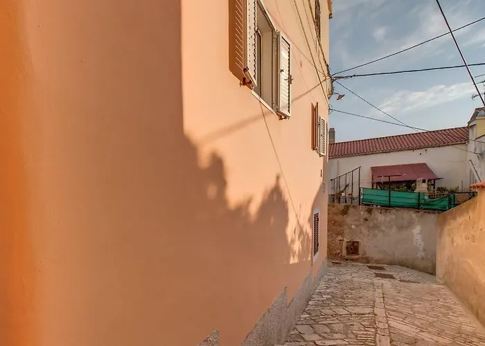 Snjezana 木洛希尼